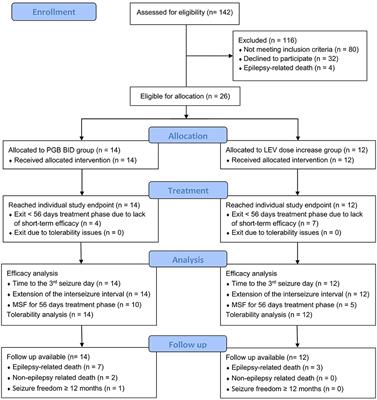 Frontiers | Pregabalin Add-On vs. Dose Increase in Levetiracetam Add-On Treatment: A Real-Life